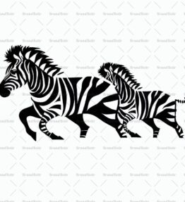 Herde von laufenden Zebras